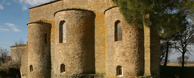 MAEC Cortona itinerari culturali percorso paleontologico