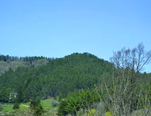 Sentiero del Castello