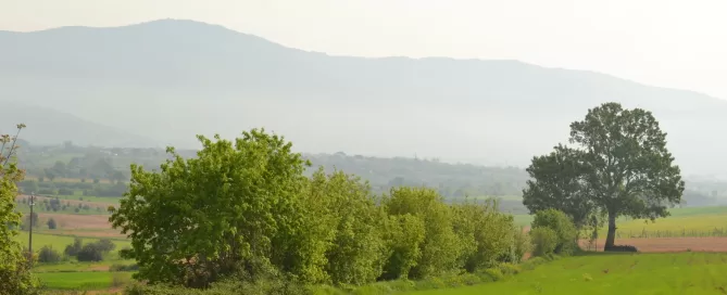 MAEC Cortona itinerari culturali sentiero della Mezzadria, i corridoi ecologici creati dalle siepi spontanee e dai boschetti