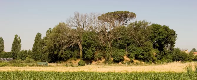 MAEC Cortona itinerari culturali sentiero dei Principi Etruschi