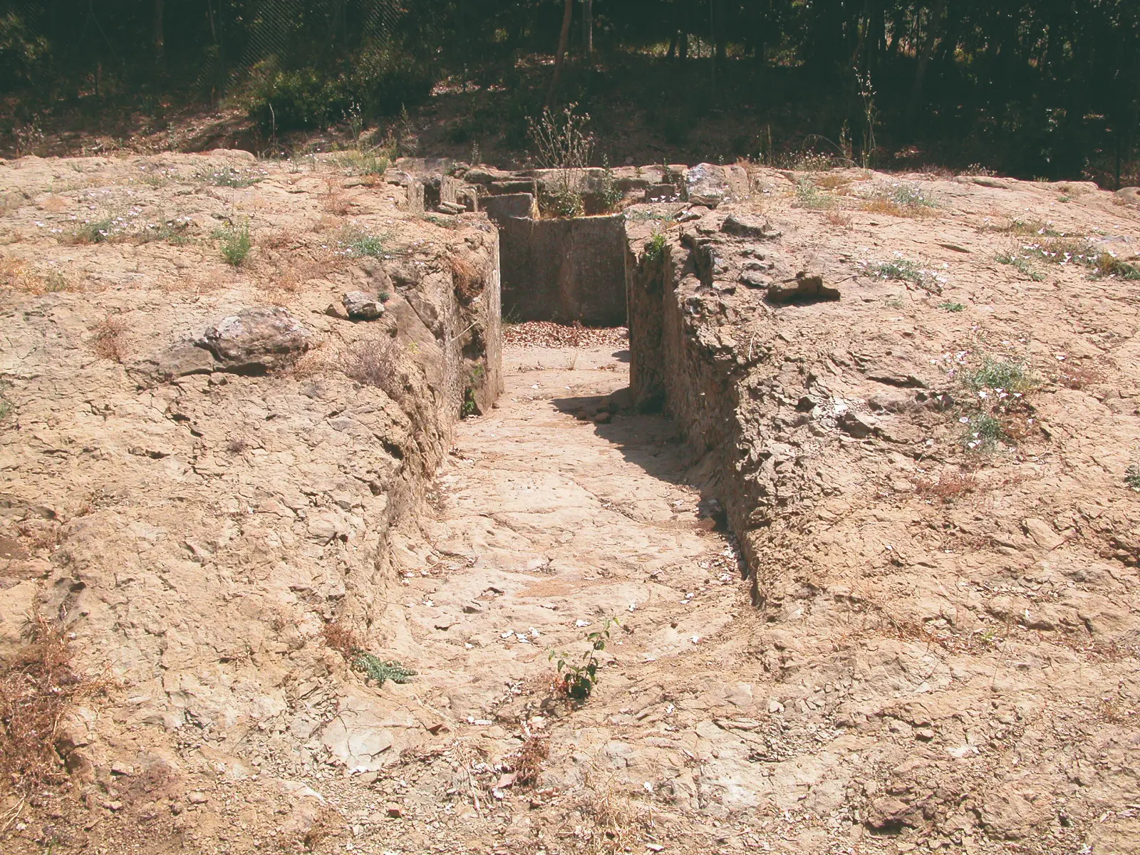 MAEC Parco diffuso la tomba di Mezzavia