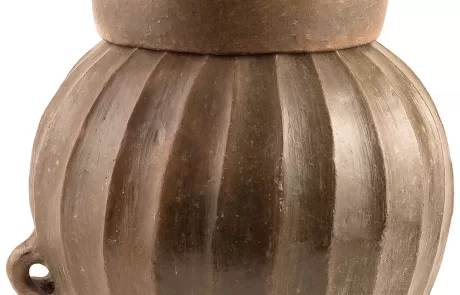 MAEC Parco diffuso il tumulo François di Camucia